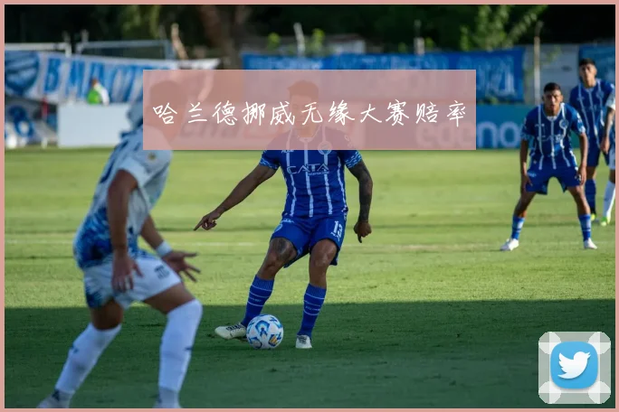 哈兰德挪威无缘大赛赔率