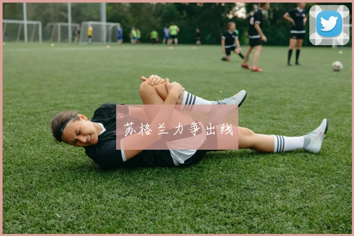 苏格兰力争出线