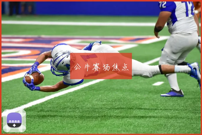 公牛赛场焦点