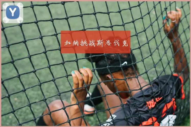 加纳挑战斯洛伐克