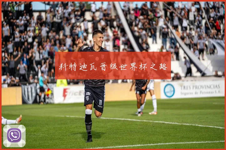科特迪瓦晋级世界杯之路