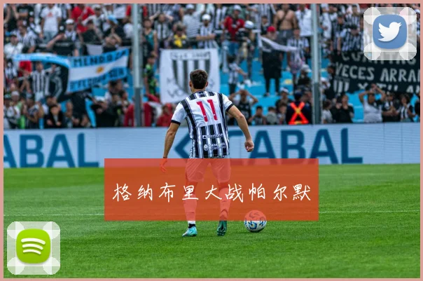 格纳布里大战帕尔默