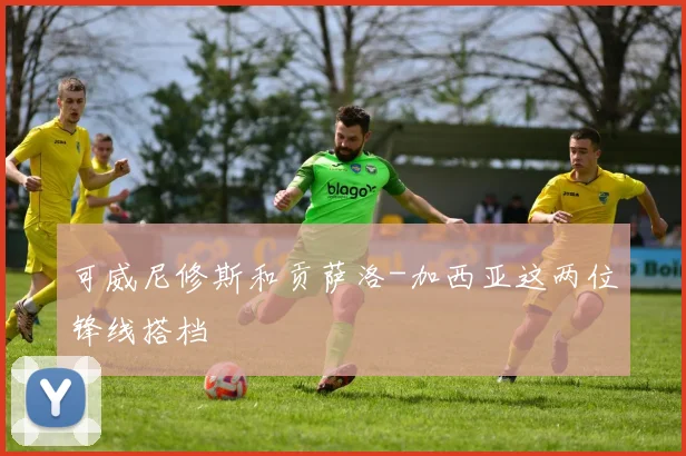 可威尼修斯和贡萨洛-加西亚这两位锋线搭档