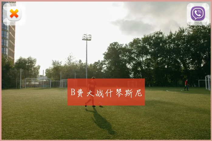 B费大战什琴斯尼