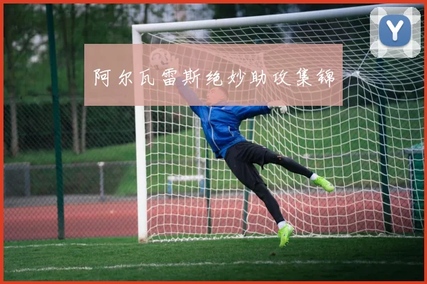 阿尔瓦雷斯绝妙助攻集锦