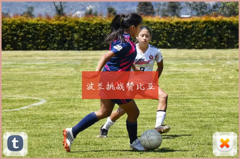 波兰挑战赞比亚