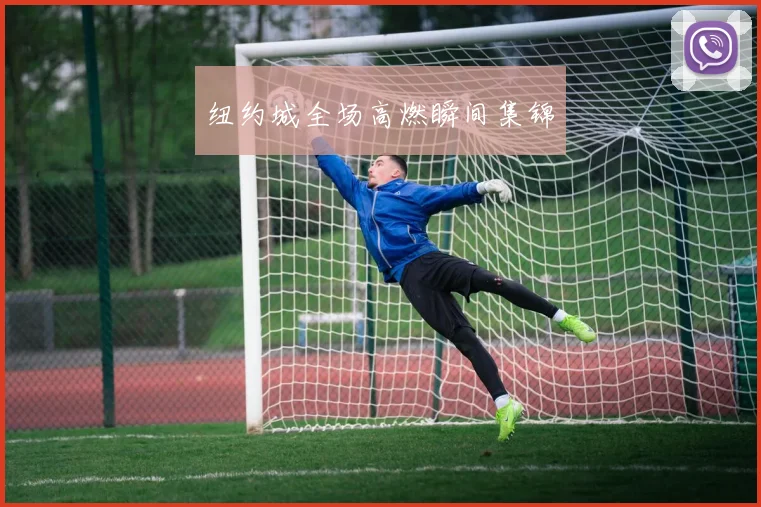 纽约城全场高燃瞬间集锦