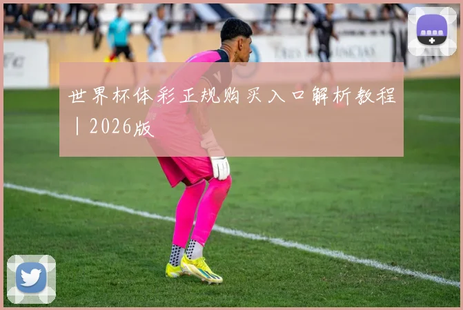 世界杯体彩正规购买入口解析教程｜2026版