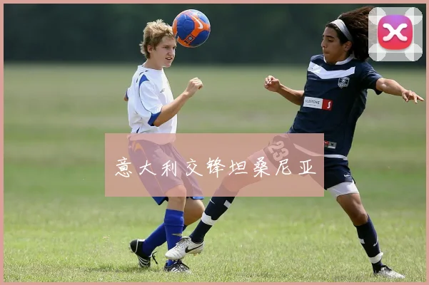 意大利交锋坦桑尼亚