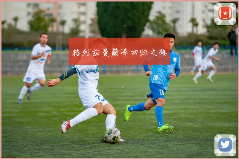 格列兹曼巅峰回归之路