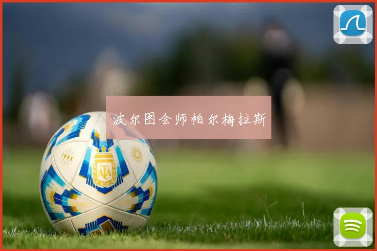 波尔图会师帕尔梅拉斯