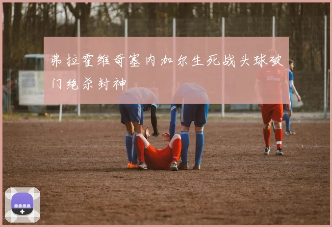 弗拉霍维奇塞内加尔生死战头球破门绝杀封神