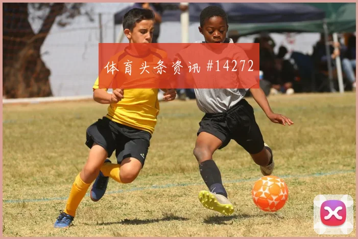 2026世界杯土耳其vs巴拉圭主场氛围