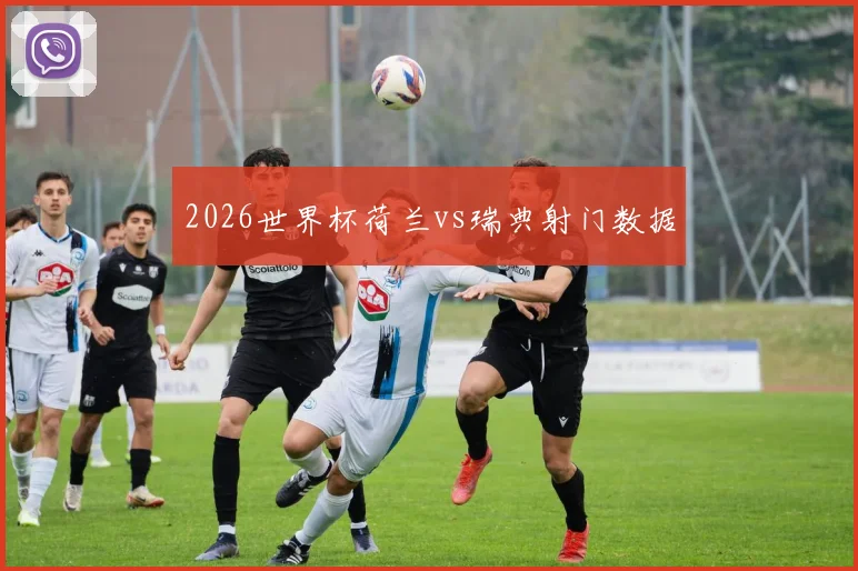 2026世界杯荷兰vs瑞典射门数据